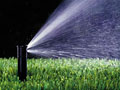 Water Sprinkler 2.jpg